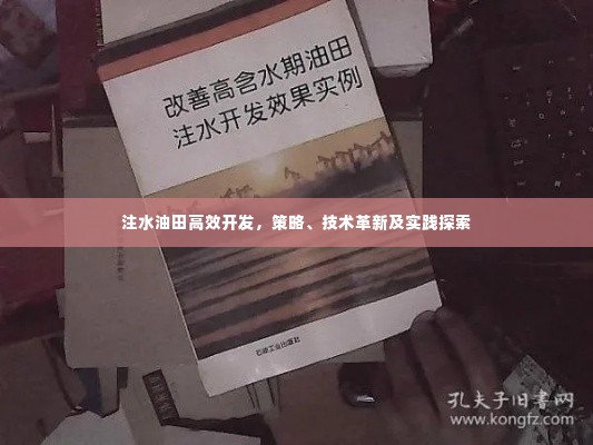 注水油田高效开发，策略、技术革新及实践探索
