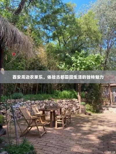 西安周边农家乐,体验古都田园生活的独特魅力