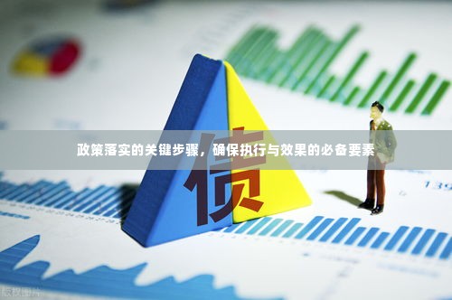 政策落实的关键步骤，确保执行与效果的必备要素