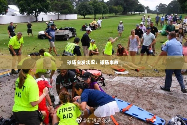 球场突发状况:球场事故