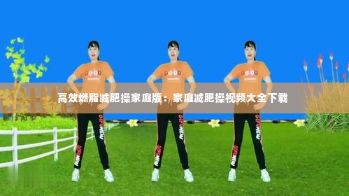 高效燃脂减肥操家庭版:家庭减肥操视频大全下载