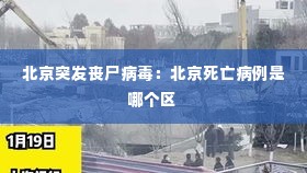 北京突发丧尸病毒:北京死亡病例是哪个区