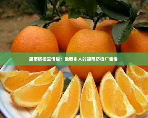赣南脐橙宣传语：最吸引人的赣南脐橙广告语 