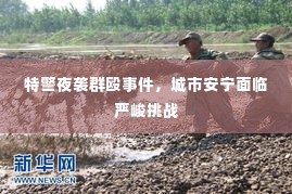 特警夜袭群殴事件，城市安宁面临严峻挑战