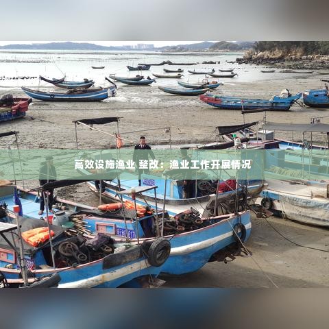 高效设施渔业 整改:渔业工作开展情况