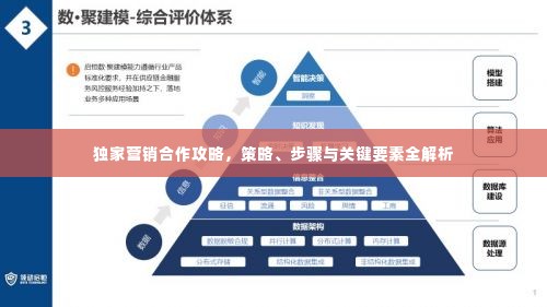 独家营销合作攻略,策略、步骤与关键要素全解析
