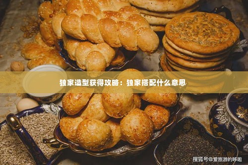 独家造型获得攻略:独家搭配什么意思