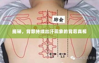 揭秘,背部持续出汗现象的背后真相