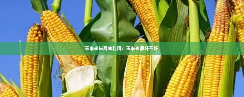 玉米光热高效利用:玉米光源好不好