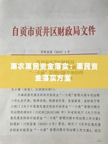 惠农惠民资金落实：惠民资金落实方案 