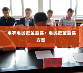 惠农惠民资金落实:惠民资金落实方案