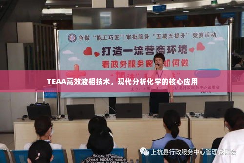 张灯挂彩 第4页