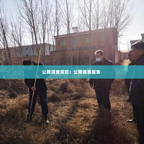 公路调查规范:公路调查报告