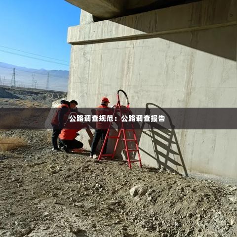 公路调查规范:公路调查报告