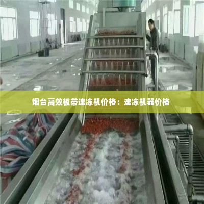 烟台高效板带速冻机价格:速冻机器价格