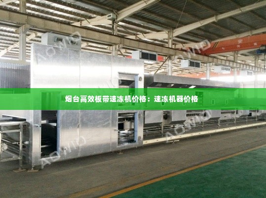 烟台高效板带速冻机价格:速冻机器价格