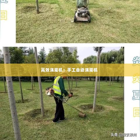 高效浇灌机:手工自动浇灌机