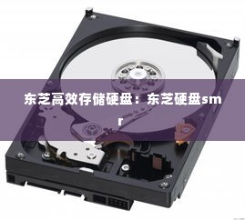 东芝高效存储硬盘:东芝硬盘smr