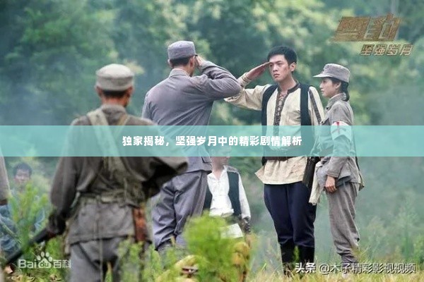 独家揭秘,坚强岁月中的精彩剧情解析