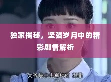 独家揭秘,坚强岁月中的精彩剧情解析