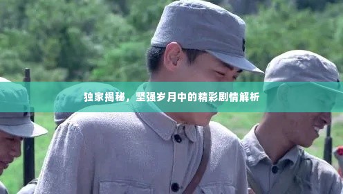 独家揭秘,坚强岁月中的精彩剧情解析