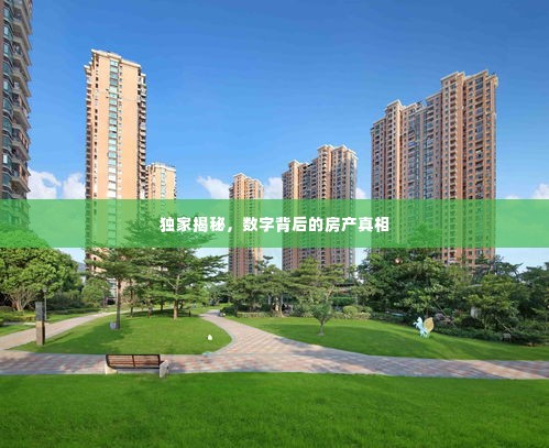 独家揭秘，数字背后的房产真相