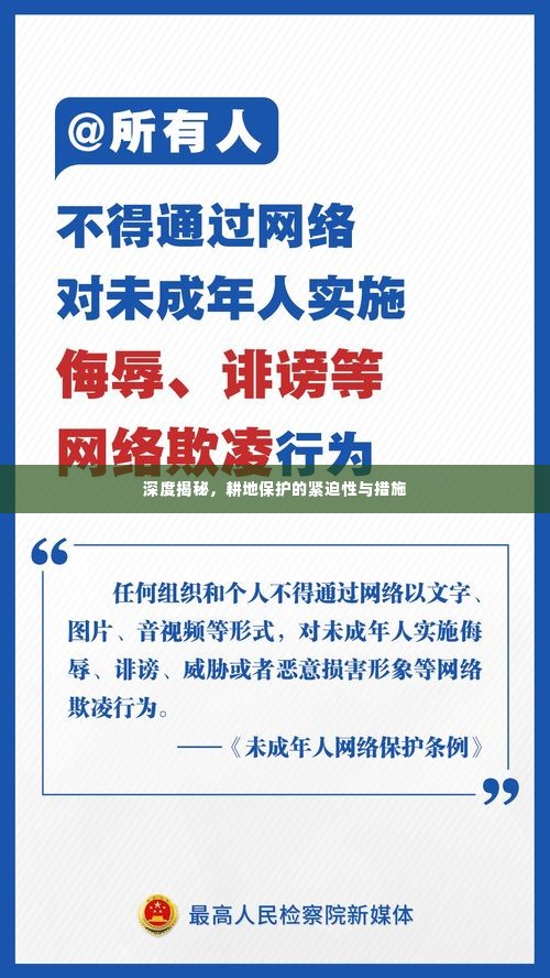 深度揭秘，耕地保护的紧迫性与措施