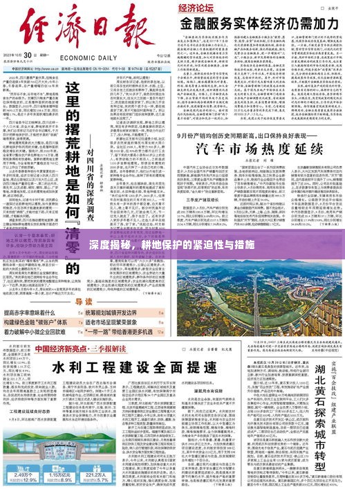 深度揭秘,耕地保护的紧迫性与措施