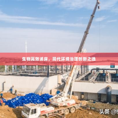 生物高效滤床,现代环境治理创新之选