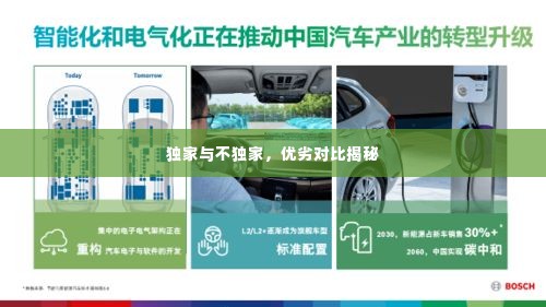 独家与不独家,优劣对比揭秘