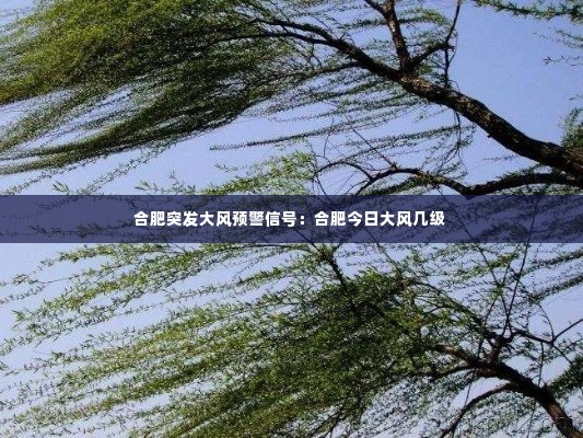 合肥突发大风预警信号:合肥今日大风几级