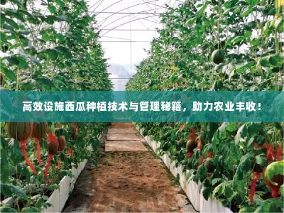 高效设施西瓜种植技术与管理秘籍,助力农业丰收!
