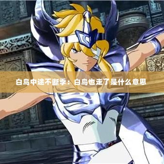 白鸟中途不断季：白鸟也走了是什么意思 
