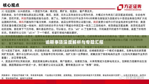 逾期事项深度解析与专题汇报