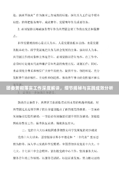 团委贯彻落实工作深度解读,细节揭秘与实践成效分析
