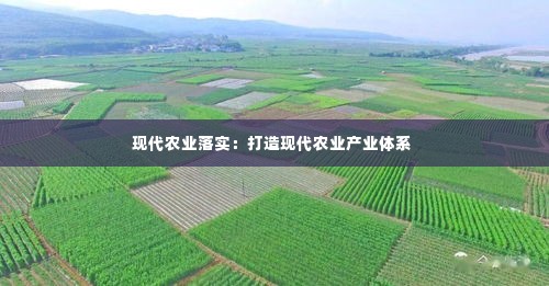 现代农业落实:打造现代农业产业体系
