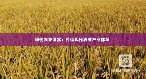 现代农业落实:打造现代农业产业体系
