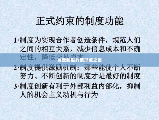 高效制度约束形成之因