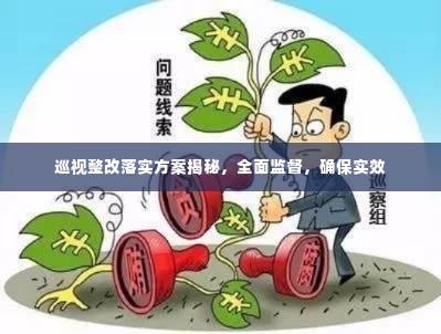 巡视整改落实方案揭秘，全面监督，确保实效