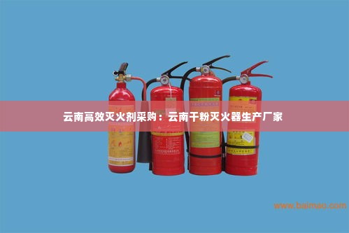云南高效灭火剂采购:云南干粉灭火器生产厂家
