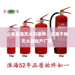 云南高效灭火剂采购:云南干粉灭火器生产厂家