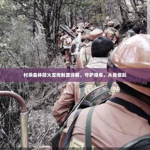 村级森林防火宣传制度详解,守护绿意,从我做起