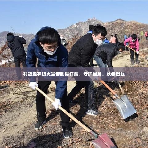 村级森林防火宣传制度详解,守护绿意,从我做起