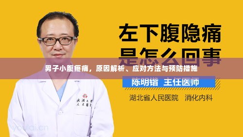 男子小腹疼痛,原因解析、应对方法与预防措施