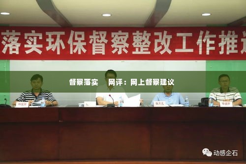 督察落实 网评:网上督察建议