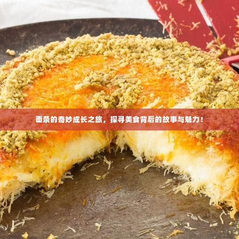 面条的奇妙成长之旅，探寻美食背后的故事与魅力！