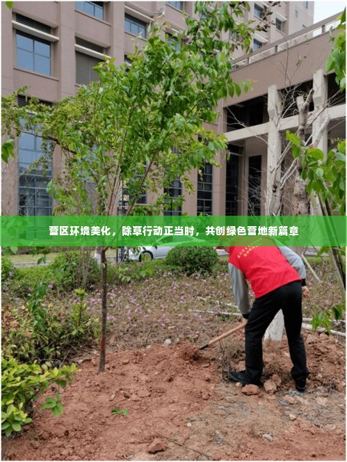 营区环境美化，除草行动正当时，共创绿色营地新篇章