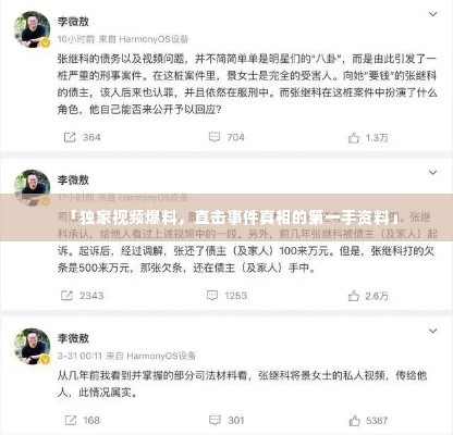 「独家视频爆料,直击事件真相的第一手资料」
