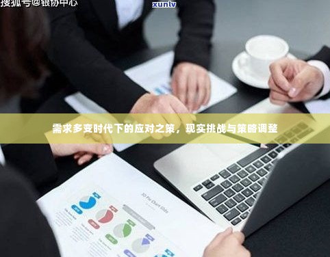 需求多变时代下的应对之策，现实挑战与策略调整