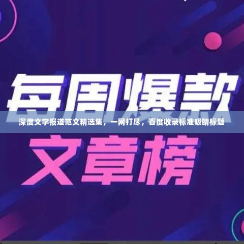 深度文字报道范文精选集,一网打尽,百度收录标准吸睛标题